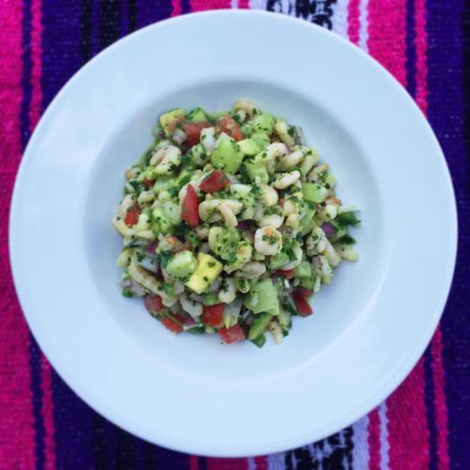 17855399_1252597814861722_6565056574503050960_o